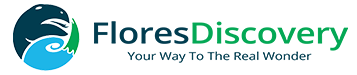 floresdiscovery.com