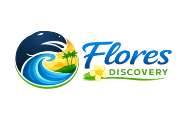 Flores Discovery