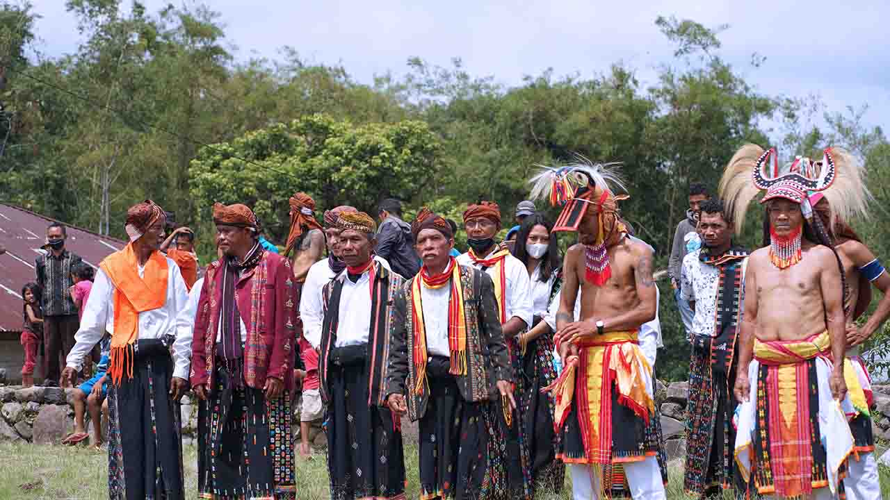 Flores Land Tours