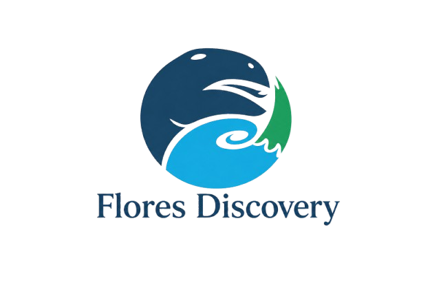 Flores Discovery