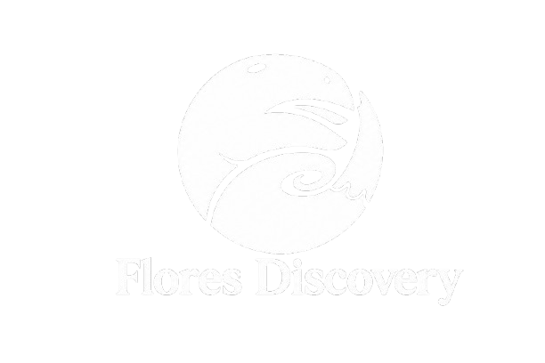 Flores Discovery